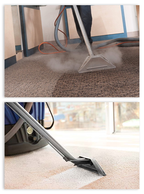 Avail carpet steam cleaning - 365 Cleaners