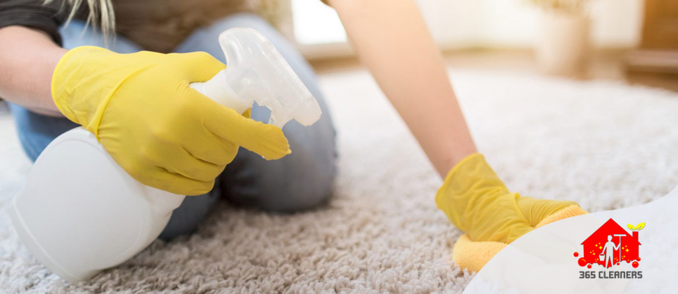 Carpet Cleaning Box Hill