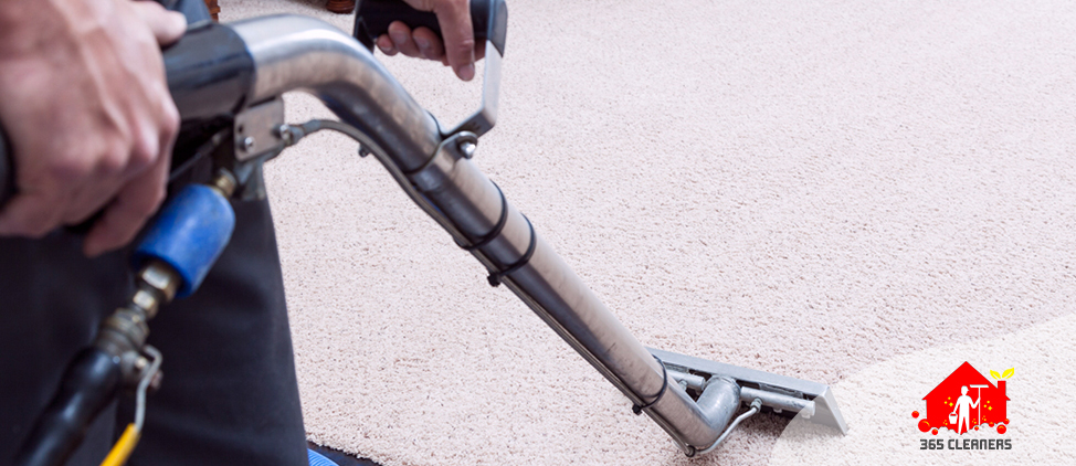 Carpet Steam cleaning Knoxfield