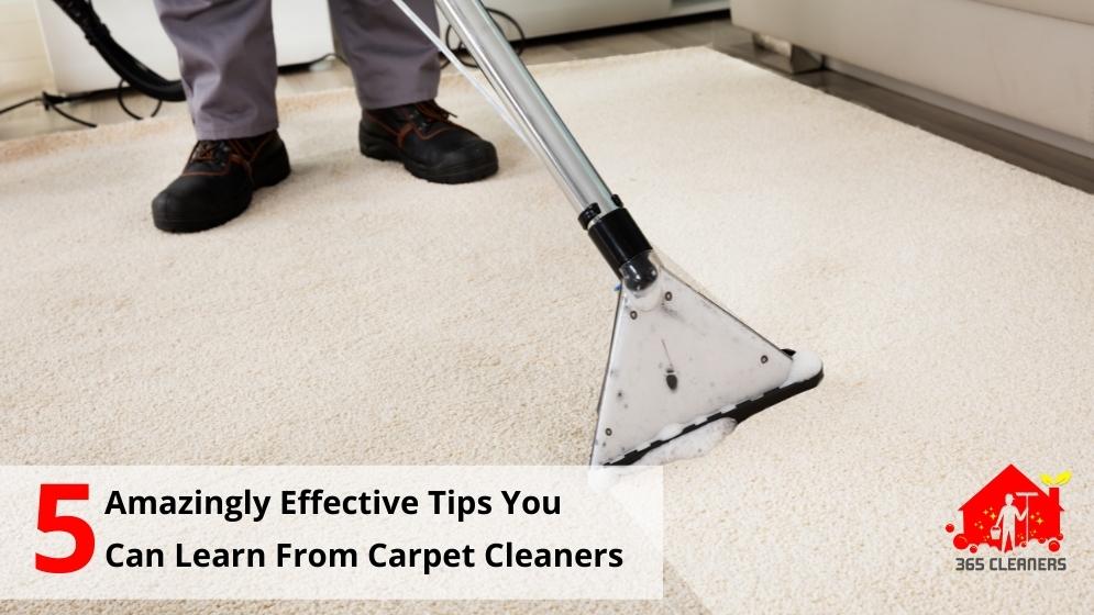 Carpet Cleaners