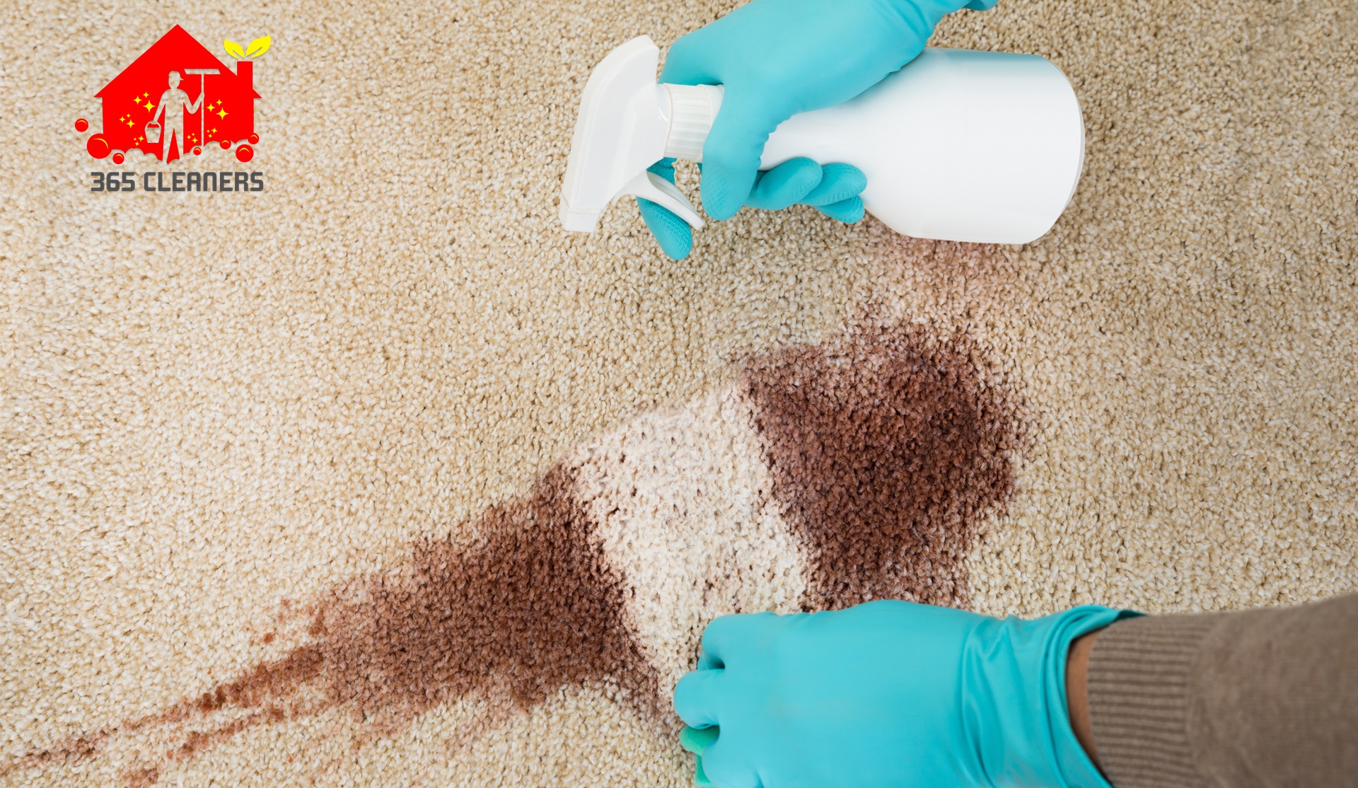 10 Carpet Cleaning Mistakes