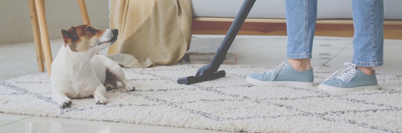 5 Amazingly Effective Tips You Can Learn From Carpet Cleaners