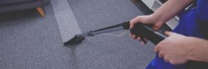 The Importance of Carpet Cleaning in homes with Kids and Seniors