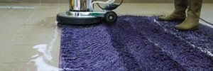 carpet cleaning in Thomastown