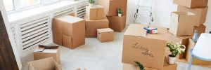 Move out cleaning