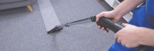 Carpet cleaning box hill