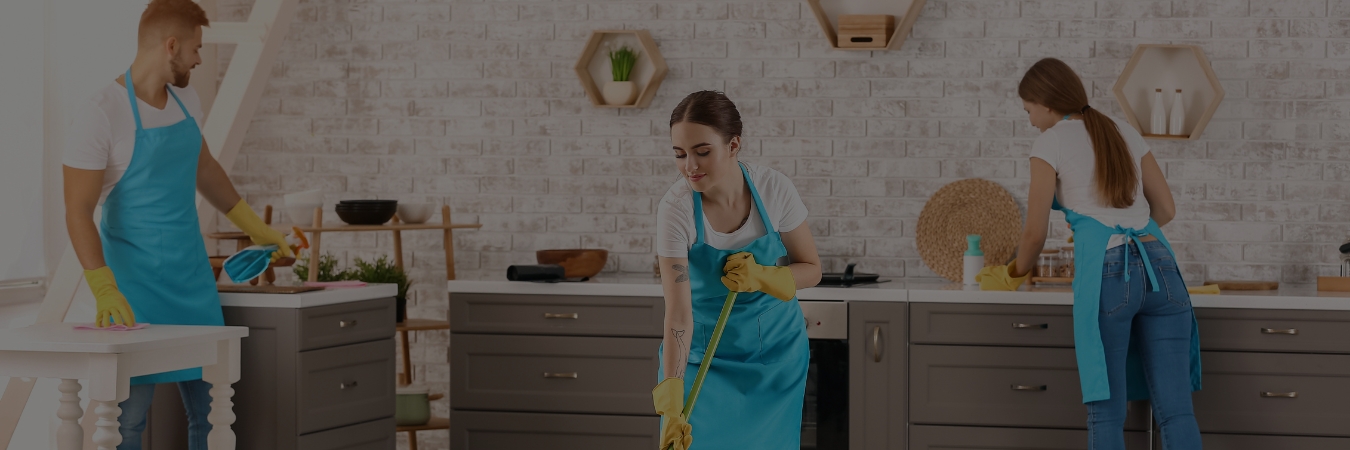 Professional Kitchen Cleaning Services