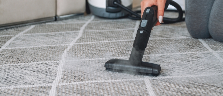 Blog Carpet Steam Cleaning