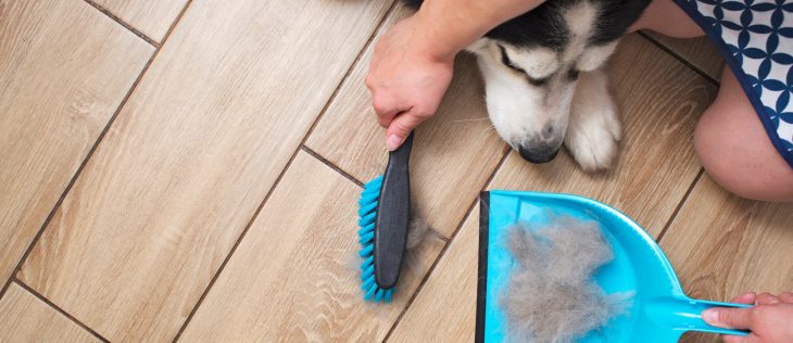 FURemover Pet Hair Removal Broom with Squeegee