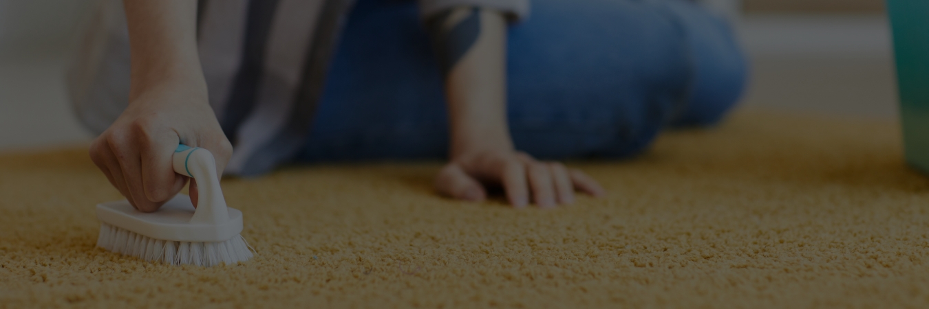 Green Cleaning for Your Carpets Eco-Friendly Solutions for a Healthy Home