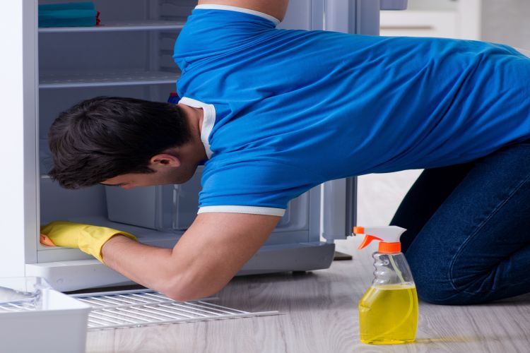 Professional cleaner cleaning the house