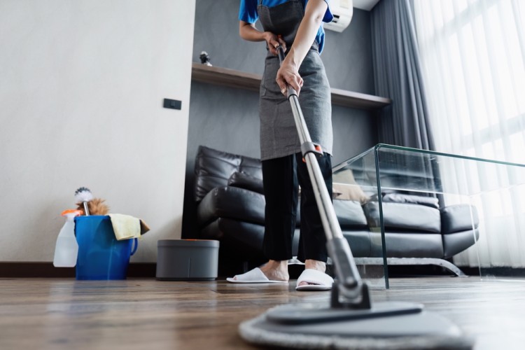 deep cleaner swipe floor