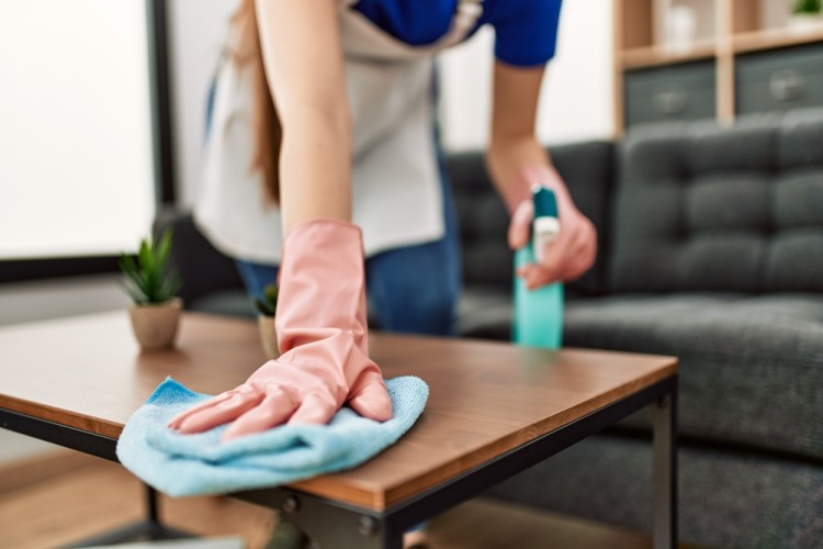 Professional cleaner is cleaning home