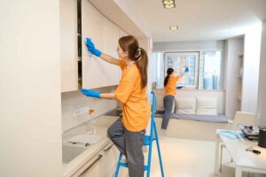 Professional Cleaners